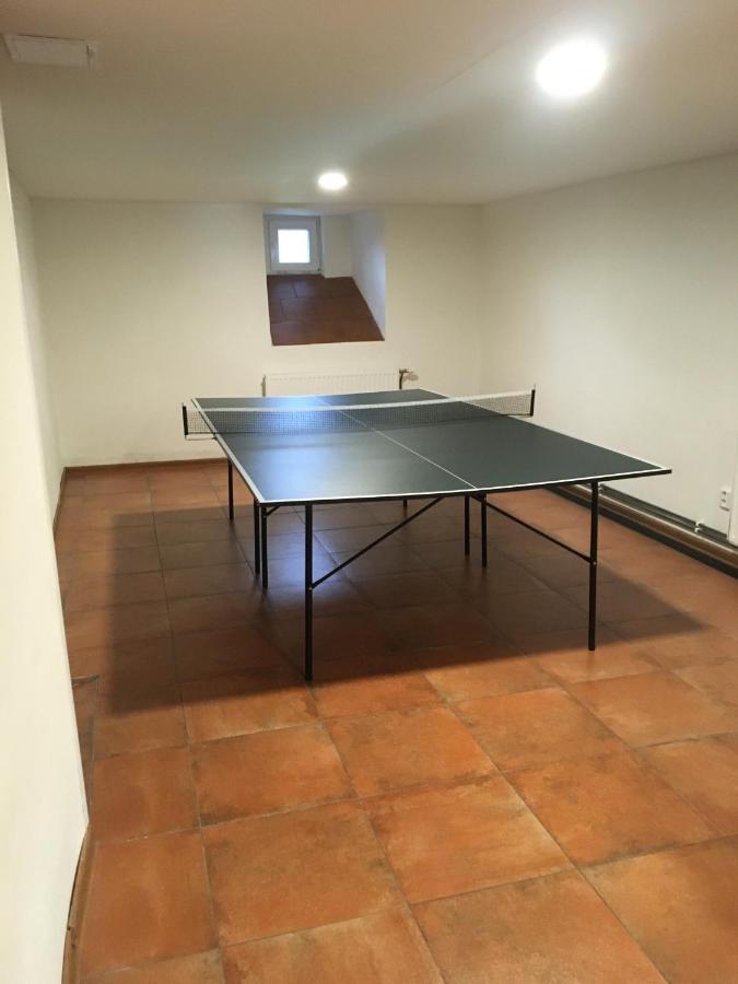 Апартаменти Horsky Apartman V Karlovicich Karlovice  Екстер'єр фото
